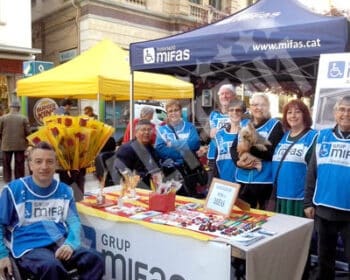 Carpa plegable de 3 por 3 para ferias
