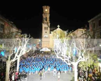 Carpas plegables de calidad, carpa de 4x6m Premium