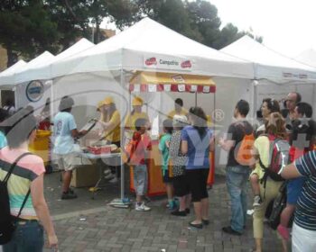 Carpas plegables de 3x3m blancas