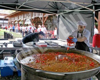 Carpas plegables ignífugas para catering