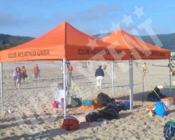 Carpas de color naranja