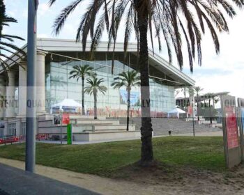 Carpas plegables de 6 por 4 blancas