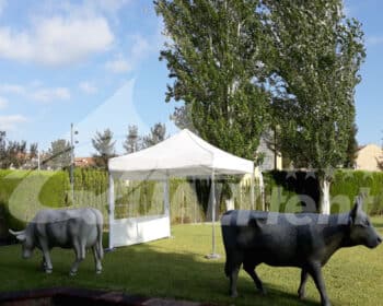 Carpa plegable de 3 por 3