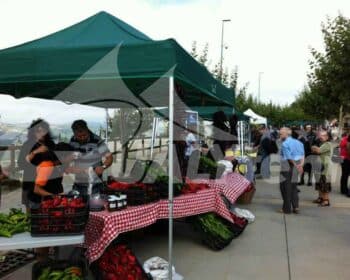 Carpa plegable de 3x4.5m para ayuntamientos