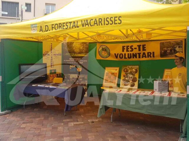 Carpas personalizadas de calidad