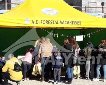 Fabricantes de carpas plegables profesionales