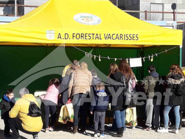 Fabricantes de carpas plegables profesionales